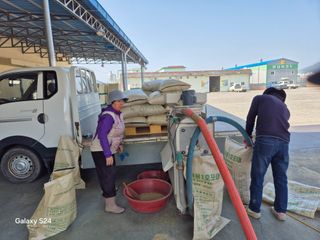 사천시향촌동 돼지띠님의 자유주제 · 자유게시판 작성글 사진