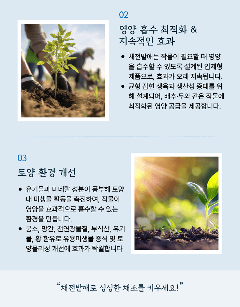 농업마켓365님의 장터 판매 상품 [농업마켓365 융전 채전밭애 입제 1kg 생리장해 배추 무우 추비 붕소 붕사 비료 생리장해 김장채소 미량요소 ] 첨부 사진