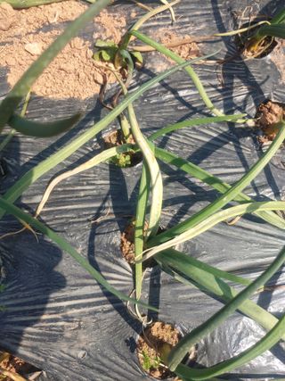 해운님의 자유주제 · 사진전 작성글 사진