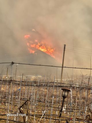 강병학님의 자유주제 · 자유게시판 작성글 사진
