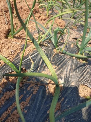 해운님의 자유주제 · 사진전 작성글 사진