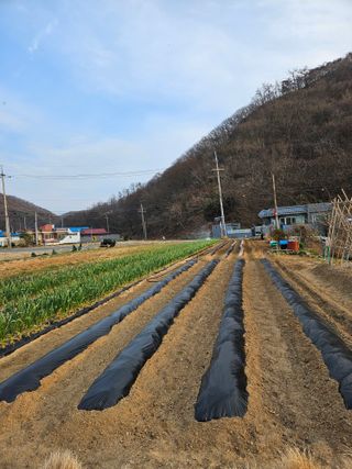 osm님의 자유주제 · 자유게시판 작성글 사진