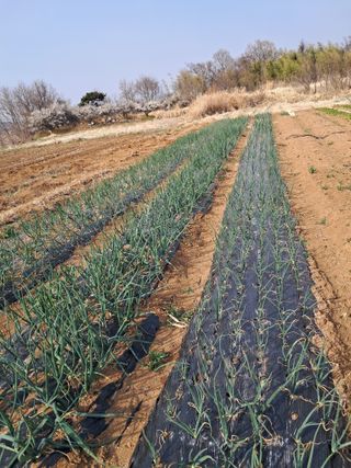 김기한님의 자유주제 · 자유게시판 작성글 사진
