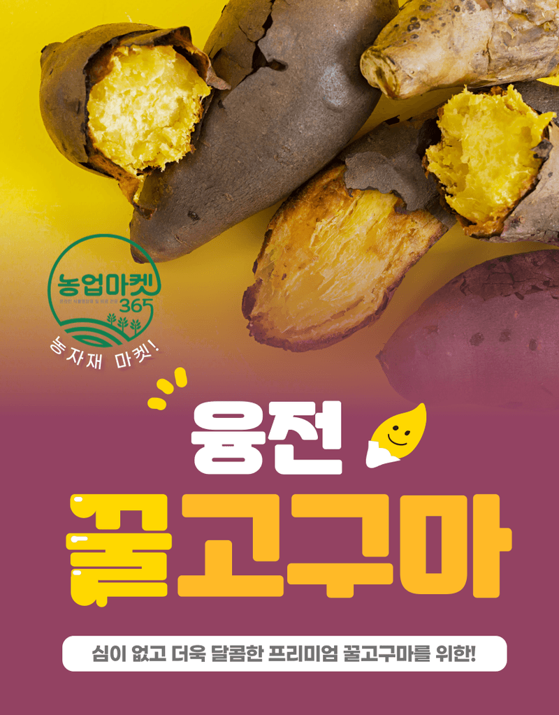 농업마켓365님의 장터 판매 상품 [농업마켓365 융전 꿀고구마 입제 1kg 비료 황 아미노산 구근 크기 맛 당도 색상 가리 마그네슘 칼슘 기비 밑거름] 첨부 사진