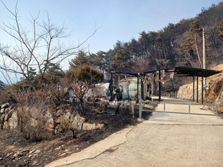 신성진님의 자유주제 · 자유게시판 작성글 사진