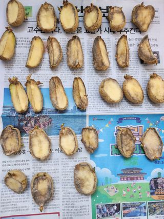 인천남동홍청양님의 농사, 무엇이든 물어보세요! · 참여글 작성글 사진