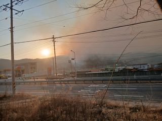 따사매님의 자유주제 · 자유게시판 작성글 사진