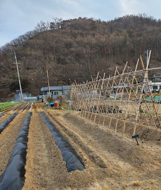 osm님의 자유주제 · 자유게시판 작성글 사진