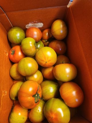 이창우님의 작성글 사진