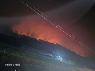 강병학님의 자유주제 · 자유게시판 작성글 사진