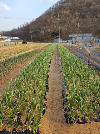 osm님의 자유주제 · 자유게시판 작성글 사진