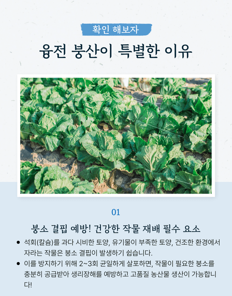농업마켓365님의 장터 판매 상품 [농업마켓365 융전 붕산 수용제 500g 배추 무우 붕소 생리장해 갓 양배추 감자 고구마 마늘 바람들이 미량요소] 첨부 사진