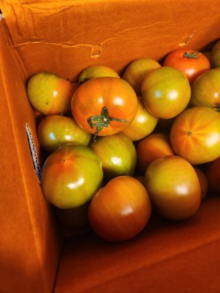 이창우님의 작성글 사진