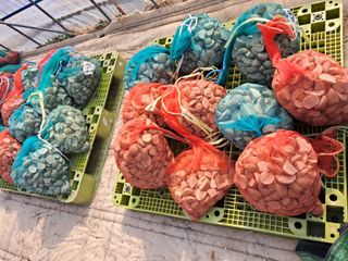 이호원님의 자유주제 · 자유게시판 작성글 사진