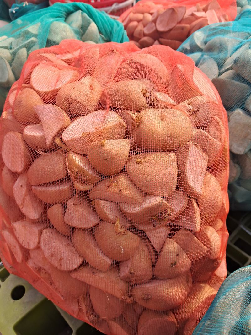 장터 상품 [설봉 절단 씨감자20kg] 썸네일