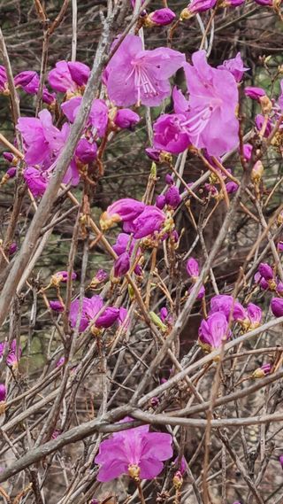 최언봉님의 자유주제 · 자유게시판 작성글 사진