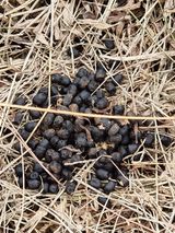 팜모닝 자유주제·자유게시판 게시글 이미지