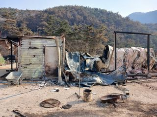 신성진님의 자유주제 · 자유게시판 작성글 사진