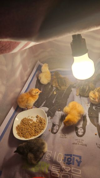 이순정님의 자유주제 · 자유게시판 작성글 사진