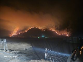 강병학님의 자유주제 · 자유게시판 작성글 사진