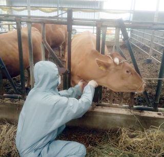 국중선님의 자유주제 · 자유게시판 작성글 사진