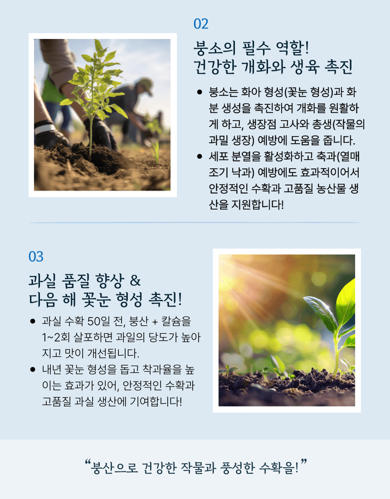 농업마켓365님의 장터 판매 상품 [농업마켓365 융전 붕산 수용제 500g 배추 무우 붕소 생리장해 갓 양배추 감자 고구마 마늘 바람들이 미량요소] 첨부 사진