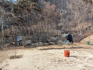 신성진님의 자유주제 · 자유게시판 작성글 사진