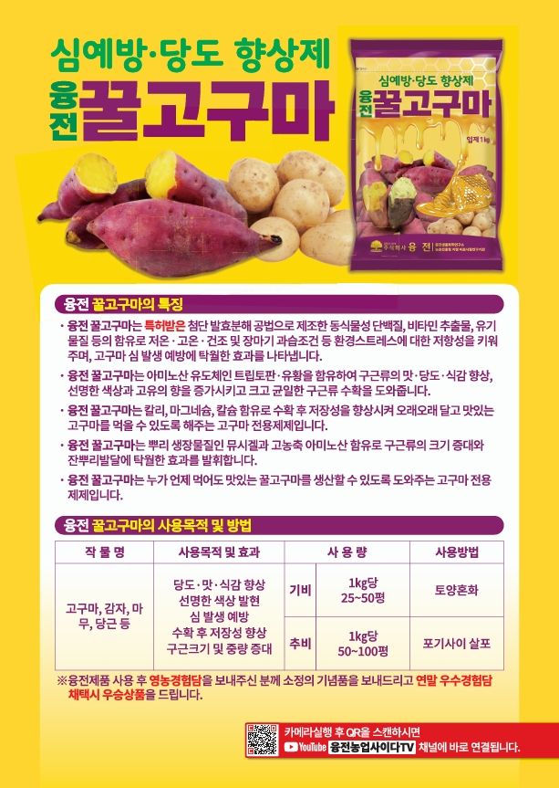 농업마켓365님의 장터 판매 상품 [농업마켓365 융전 꿀고구마 입제 1kg 비료 황 아미노산 구근 크기 맛 당도 색상 가리 마그네슘 칼슘 기비 밑거름] 첨부 사진