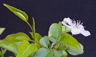 이정운님의 자유주제 · 자유게시판 작성글 사진