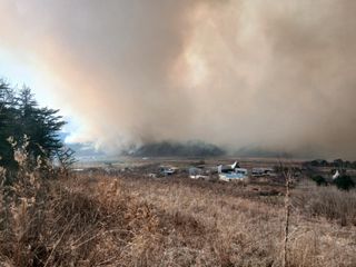 따사매님의 자유주제 · 자유게시판 작성글 사진