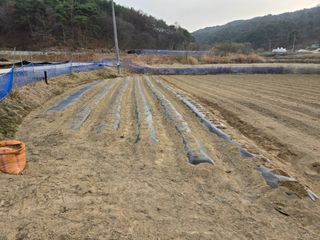 희상님의 자유주제 · 자유게시판 작성글 사진