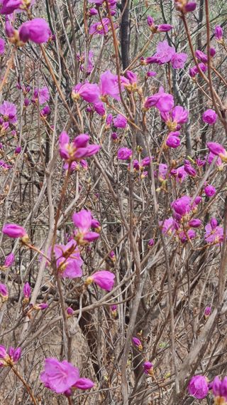최언봉님의 자유주제 · 자유게시판 작성글 사진