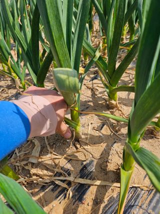 osm님의 자유주제 · 자유게시판 작성글 사진