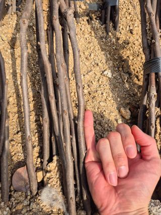 우리농원님의 자유주제 · 자유게시판 작성글 사진