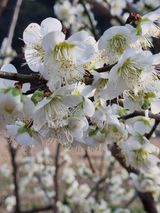 팜모닝 자유주제·자유게시판 게시글 이미지