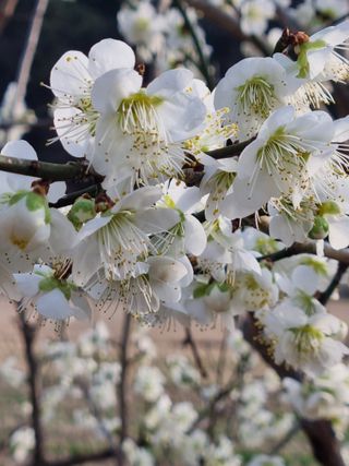 마늘6843님의 자유주제 · 자유게시판 작성글 사진