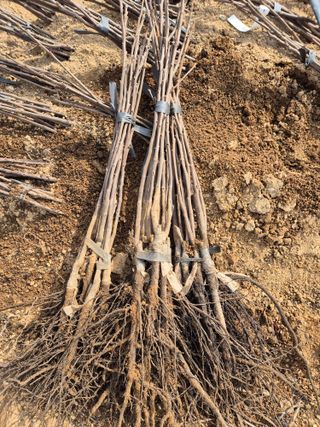 우리농원님의 자유주제 · 자유게시판 작성글 사진