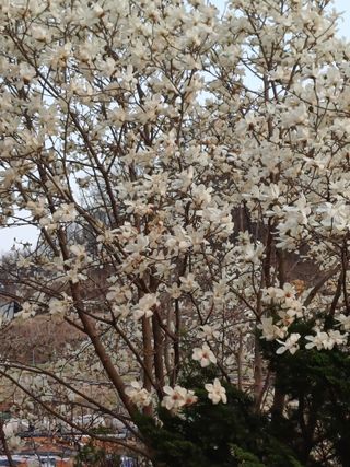 유영옥님의 자유주제 · 자유게시판 작성글 사진