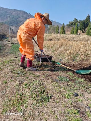 (김영준)쉐프님의 2025 풍년들게 하소서! · 참여글 작성글 사진