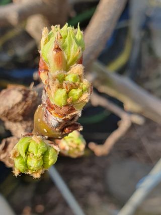 하나라도 소중하게님의 자유주제 · 자유게시판 작성글 사진