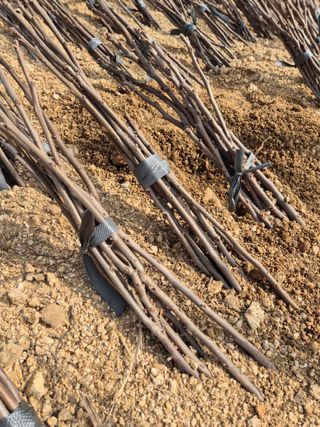 우리농원님의 자유주제 · 자유게시판 작성글 사진