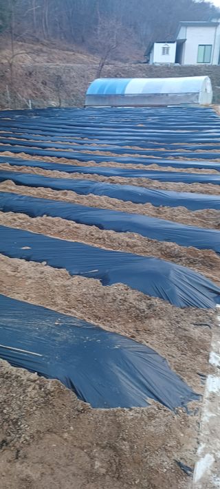 김두현님의 자유주제 · 사진전 작성글 사진