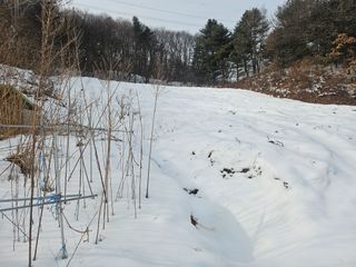 대학로님의 팜모닝 토론방 · 주제제안 작성글 사진