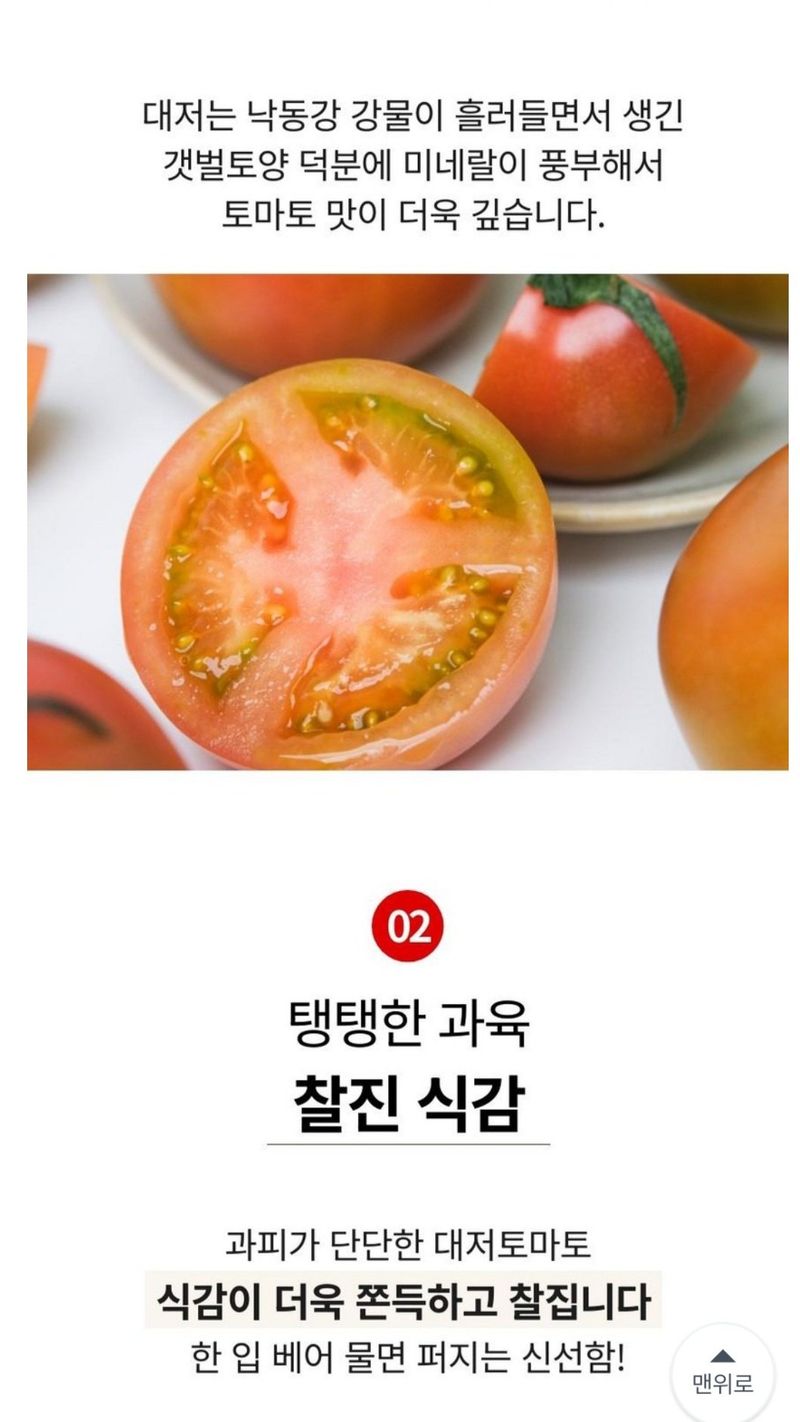 정길영님의 장터 판매 상품 [대저 토마토 2.5kg] 첨부 사진