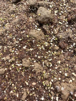 무료지식나눔 팜닥터님의 자유주제 · 자유게시판 작성글 사진