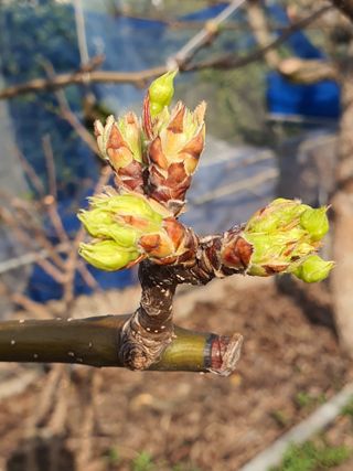 하나라도 소중하게님의 자유주제 · 자유게시판 작성글 사진