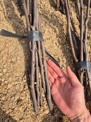 우리농원님의 자유주제 · 자유게시판 작성글 사진