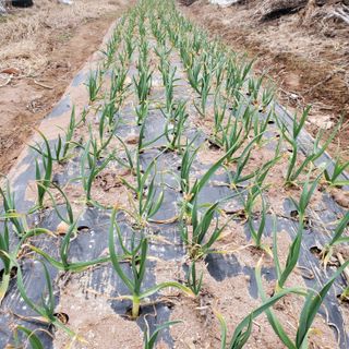 정연섭님의 자유주제 · 자유게시판 작성글 사진