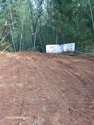 오금식(대청농원)님의 2025 풍년들게 하소서! · 참여글 작성글 사진