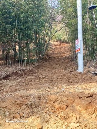 오금식(대청농원)님의 2025 풍년들게 하소서! · 참여글 작성글 사진